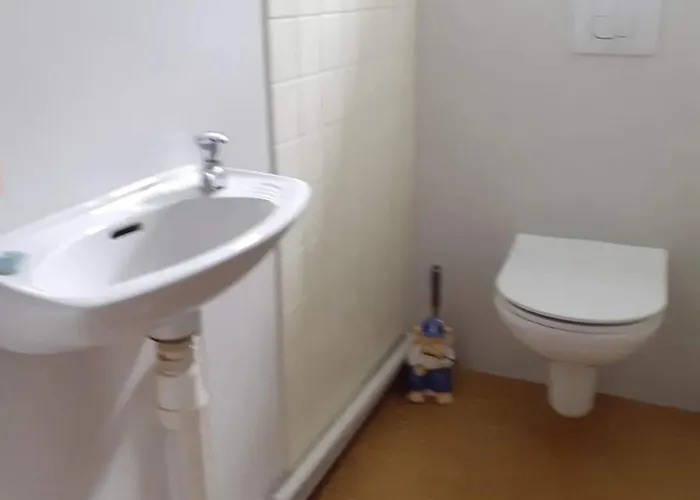 Appartement Avec Piscine Privee A Saint-Palais, 60 M² Daire Saint-Palais (Pyrenees-Atlantiques)